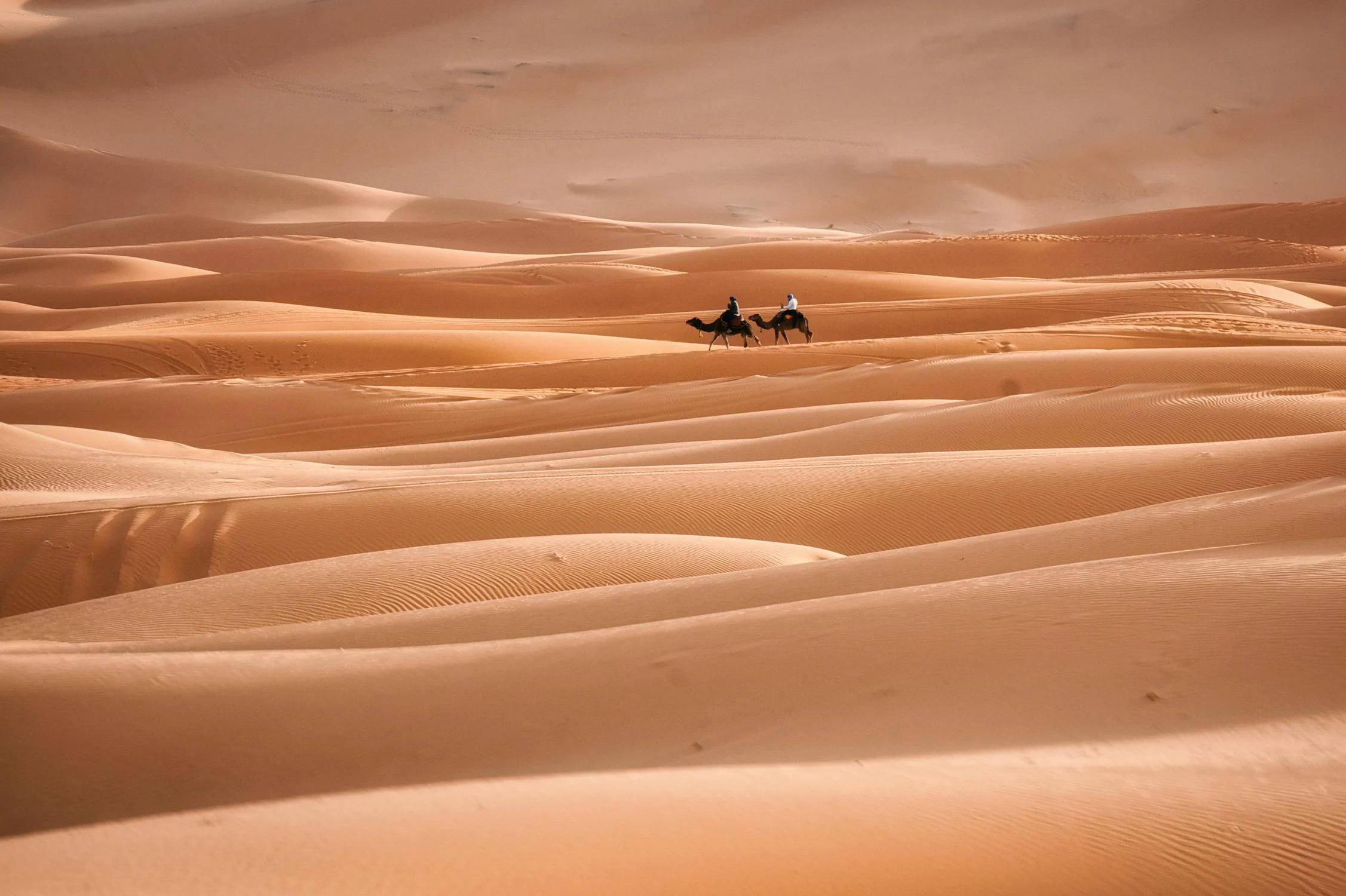 MerzougaSandDunes2
